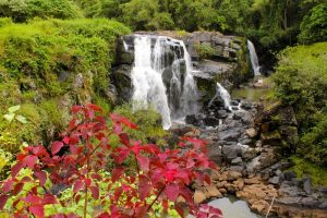 pocos de caldas shutterstock 1592582869 pocos de caldas shutterstock 1592582869